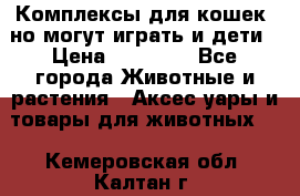 Комплексы для кошек, но могут играть и дети › Цена ­ 11 900 - Все города Животные и растения » Аксесcуары и товары для животных   . Кемеровская обл.,Калтан г.